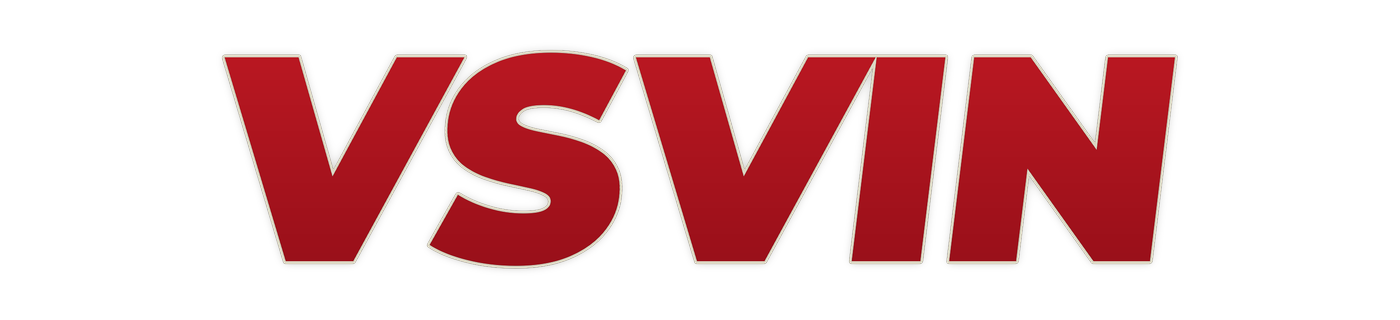 vsvin logo